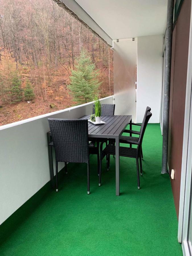 Mariposa Inclusive Pool Und Sauna Bad Harzburg Kültér fotó